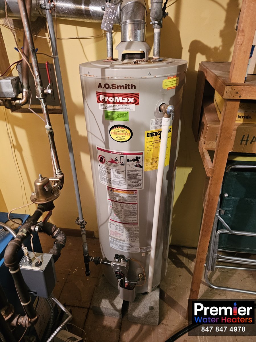AO Smith ProMax 50-gallon water heater before replacement Park Ridge IL