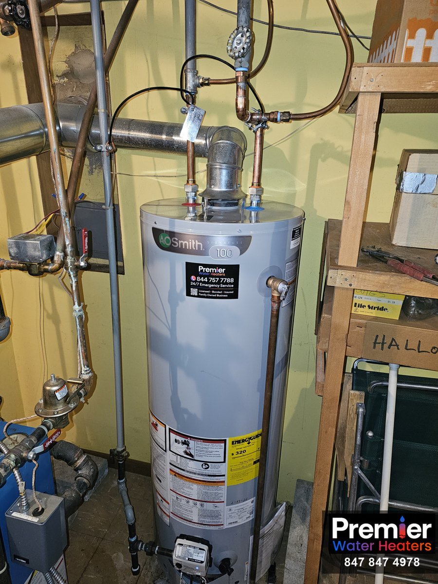 AO Smith Signature 100 50-gallon water heater installed same day Park Ridge IL Premier Water Heaters